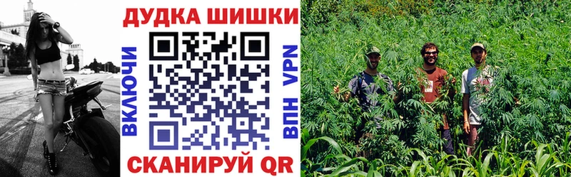 Где можно купить наркотики Задонск Амфетамин  МАРИХУАНА  Меф мяу мяу  ГАШИШ  Cocaine 