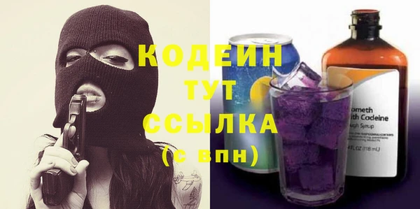 сатива Ельня