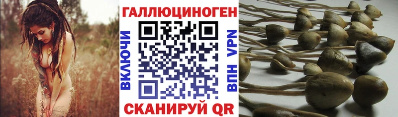 OMG   площадка состав  Псилоцибиновые грибы мухоморы  Задонск 